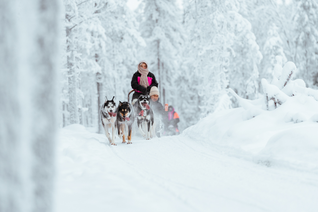 Arctic Husky Safari – 5 km
