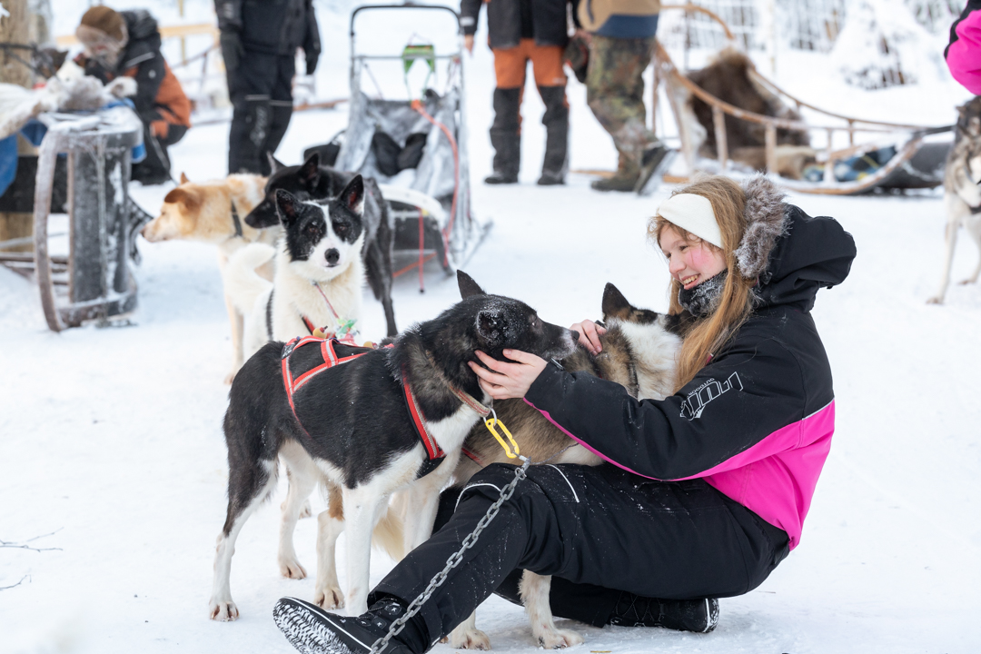 Guest kneeling in the snow petting friendly Alaskan huskies