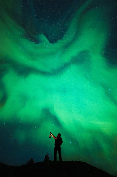 Corona di aurora rossa e verde sopra pini innevati