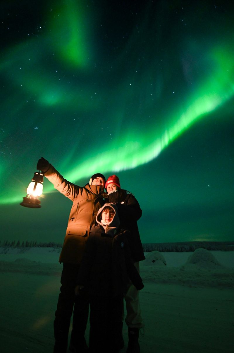 Northern Lights above a snowy forest in Lapland