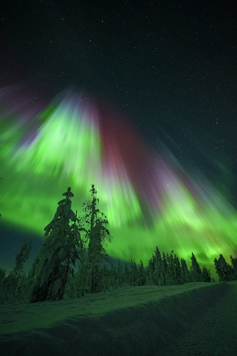 Aurora above a snowy forest road on a night chase