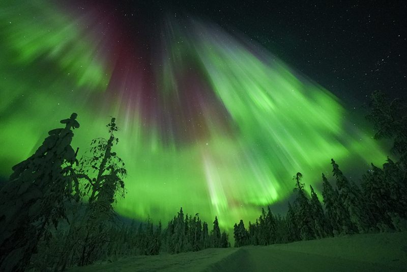 Aurora boreale su un'ampia foresta innevata al confine tra Finlandia e Svezia