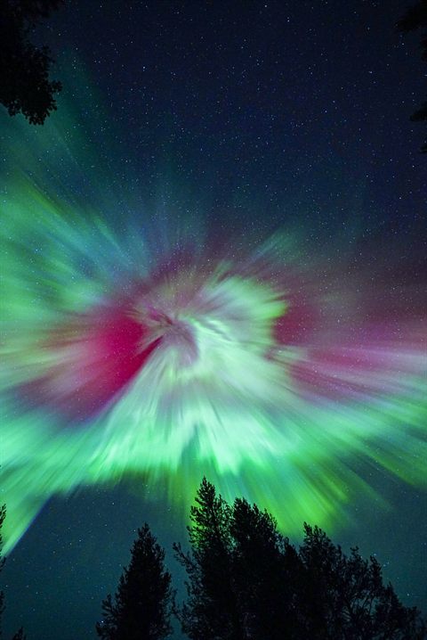 Seltene grün-rote Aurora-Korona über dem Wald in Finnisch-Lappland