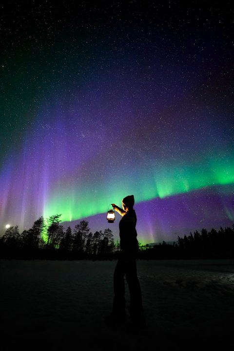 Gäste auf einem Laternenspaziergang unter violetten Nordlichtern in Rovaniemi