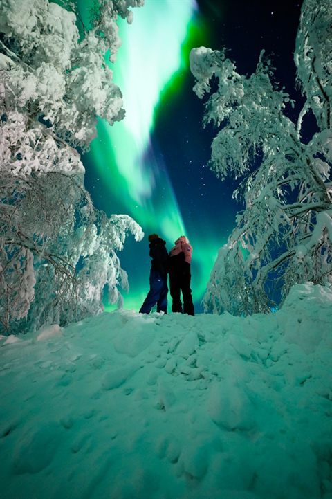 Verschneiter Wald unter den Nordlichtern in Finnisch-Lappland