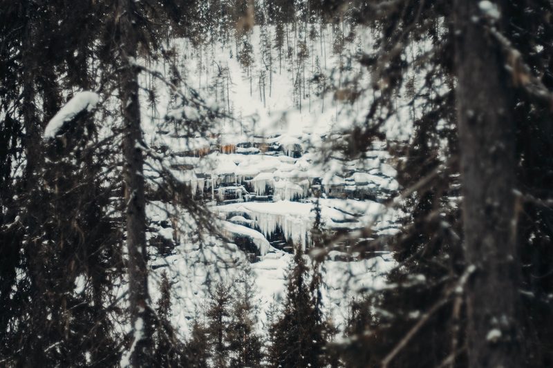 Gefrorene Wasserfälle an den Felswänden der Korouoma-Schlucht, durch verschneiten Kiefernwald gesehen