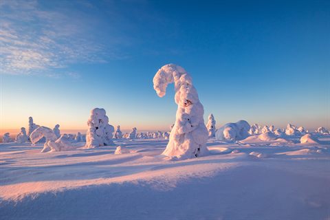 Paesaggi di foresta ghiacciata durante le nostre gite invernali di un giorno