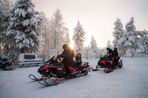 Snowmobiles setting off between snow-laden trees in low winter sun