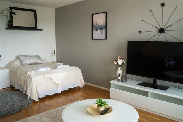 Arctic Apartment, photo 2