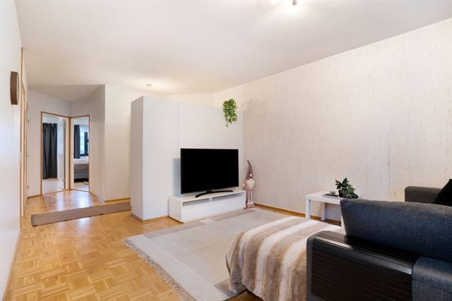 Arctic City Apartment, photo 5