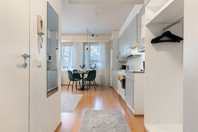 Arctic Studio & Private Sauna, photo 3