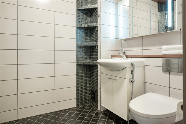 Aurora Forest House, Sauna, photo 3