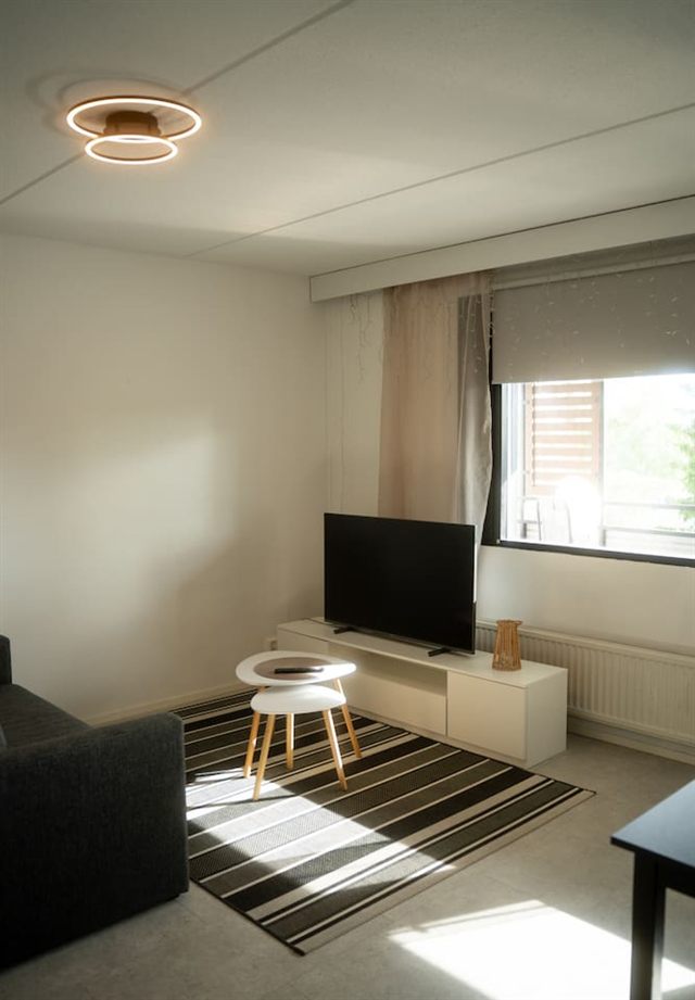 Christmas Apartment, photo 2