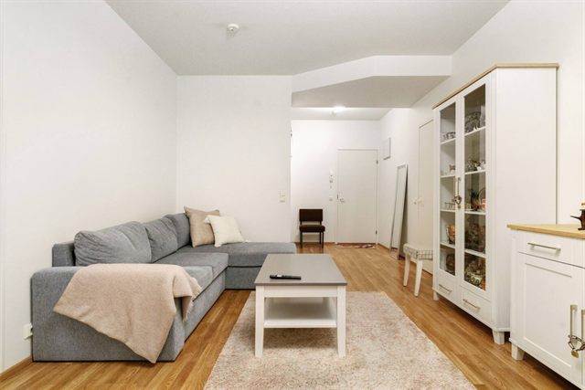 City Apartment, private sauna, photo 3