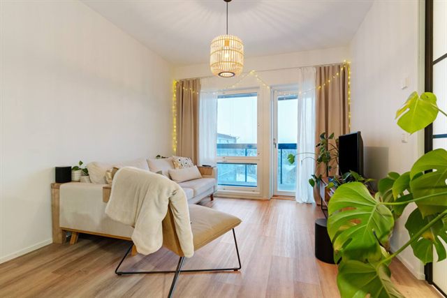Luxury Apartment, photo 3