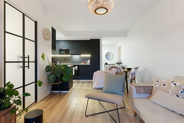 Luxury Apartment, photo 5
