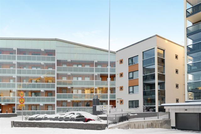 Modern Arctic Studio, photo 5