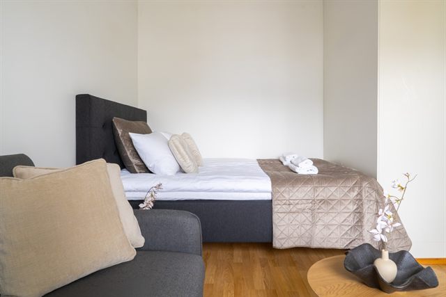 Nordic City Studio, photo 3
