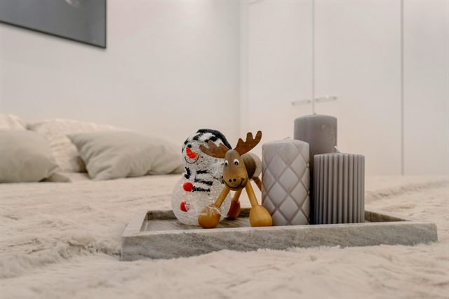 Nordic Heart Apartment, Sauna, photo 2