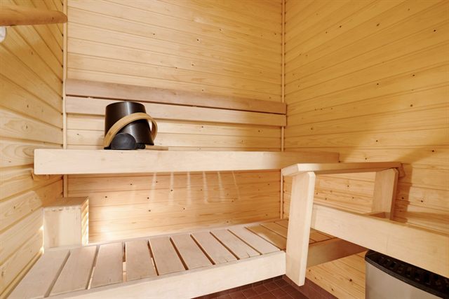 Northern City Suite, private sauna, photo 3