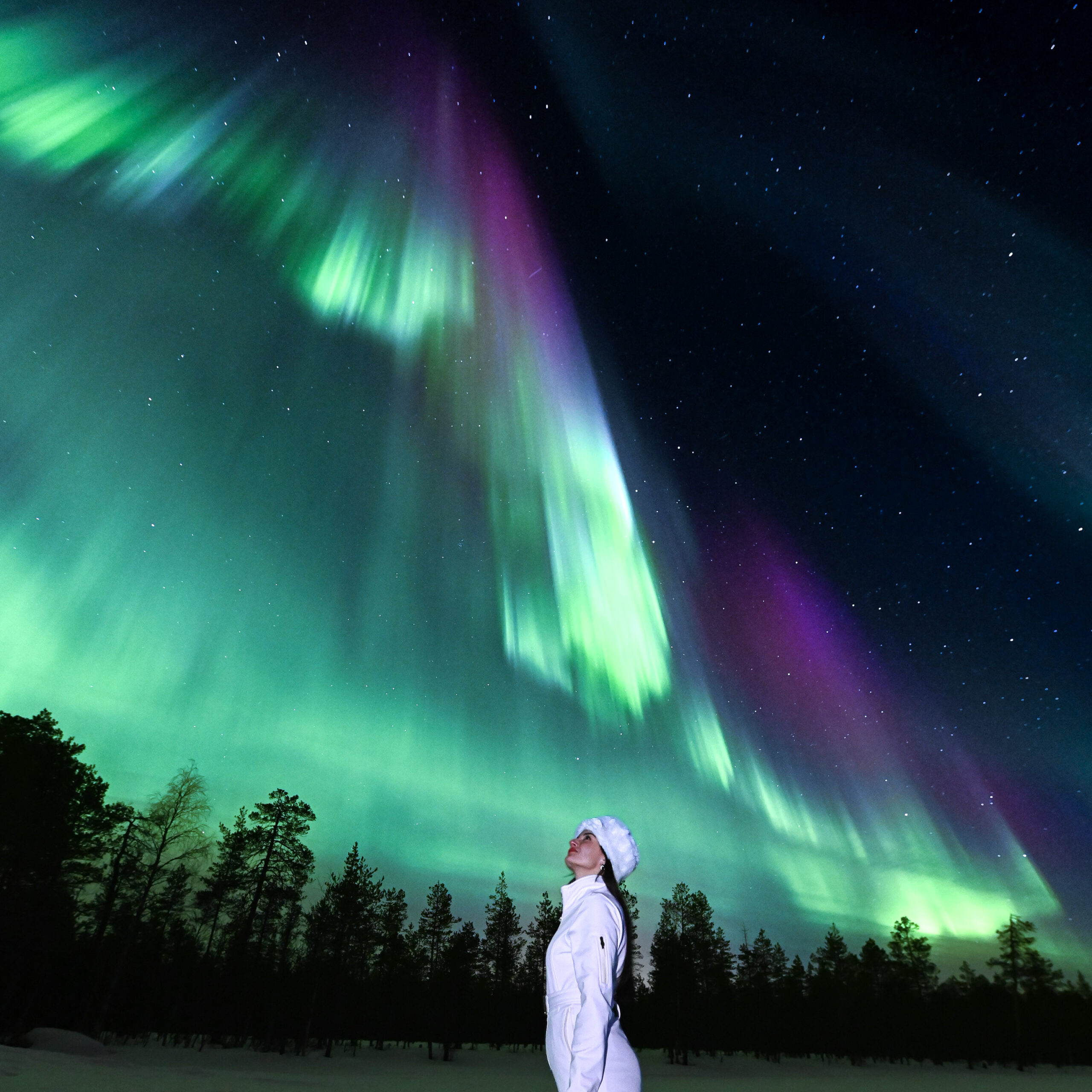 Aurora Borealis glowing above snowy Lapland forest