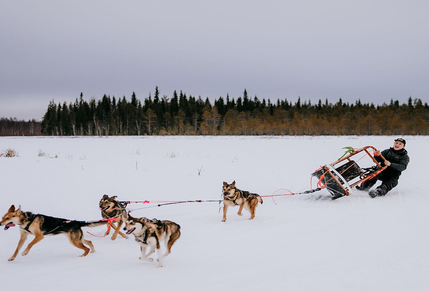 5 km Self-Drive Husky Safari – Step Into the Mushing Life-1