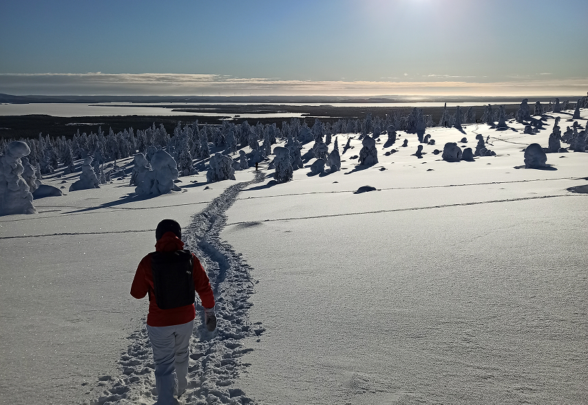Riisitunturi National Park-2