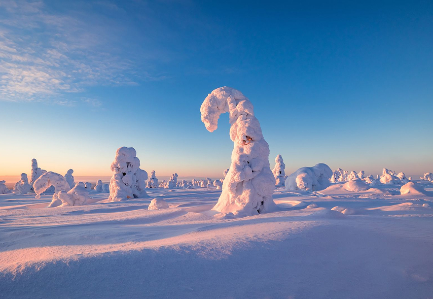 Riisitunturi National Park-3